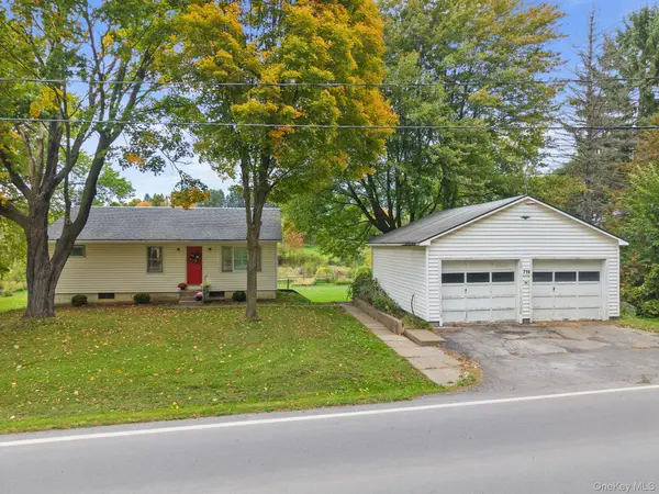 719 Mineral Springs Rd, Cobleskill Ny, Cobleskill, NY 12043