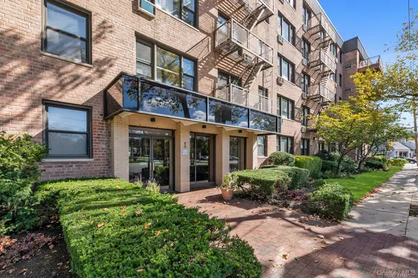 1 Birchwood Court #3B, Mineola, NY 11501