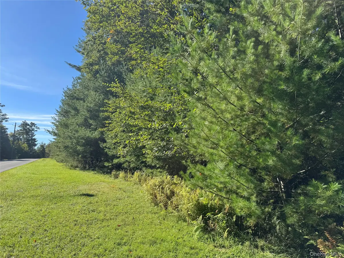 lot 1 Chapin Trail, Bethel, NY 12720 - #1