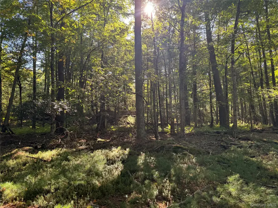 lot 1 Chapin Trail, Bethel, NY 12720 - #2