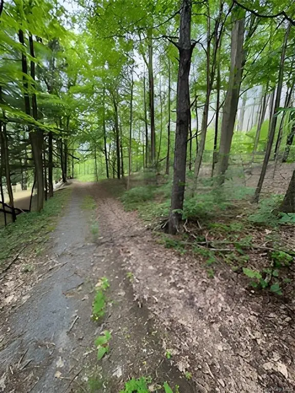 Gardner Drive, Port Jervis, NY 12771 - #2