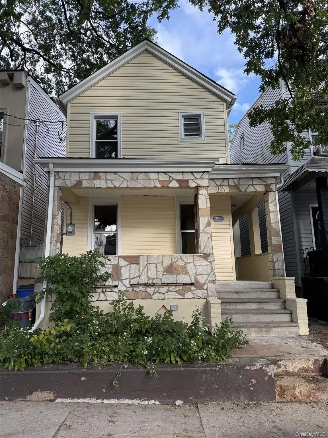 389 Warwick Street, Brooklyn, NY 11207 - #1