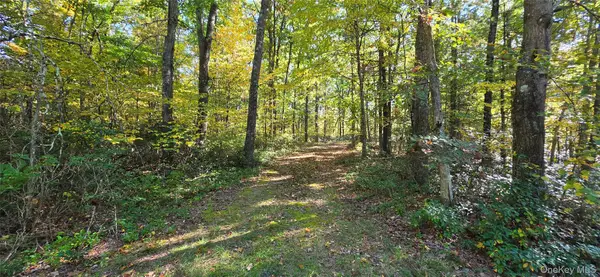 Lot #86 Perry Pond Road, Narrowsburg, NY 12764