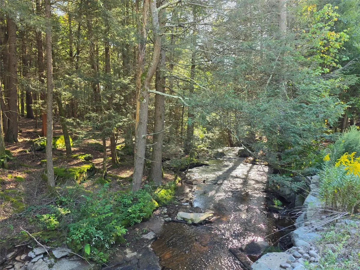 TBD Lily Pond Road, Parksville, NY 12768 - #1