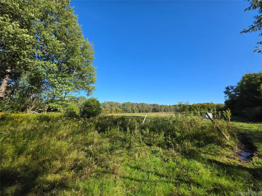 TBD Lily Pond Road, Parksville, NY 12768 - #3