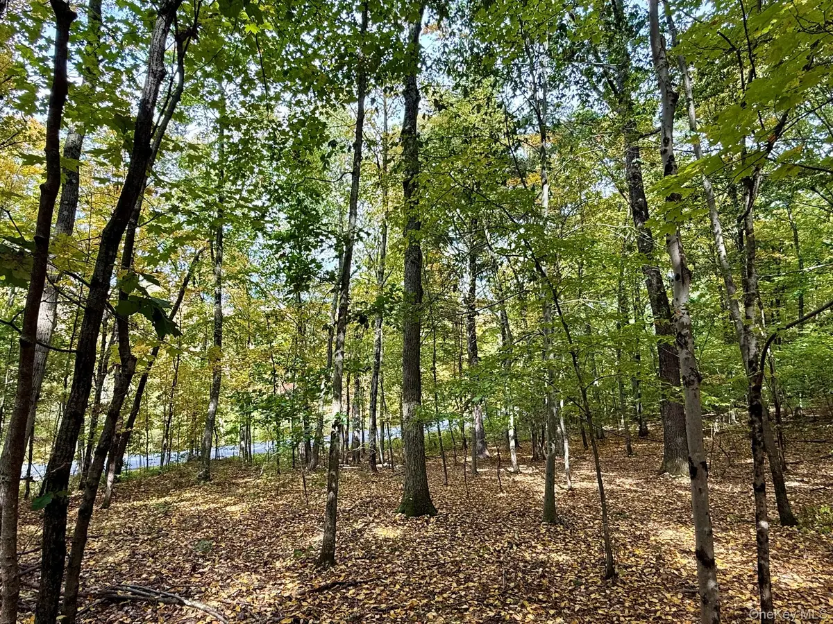 Fiddlers Bridge Road, Staatsburg, NY 12580 - #1