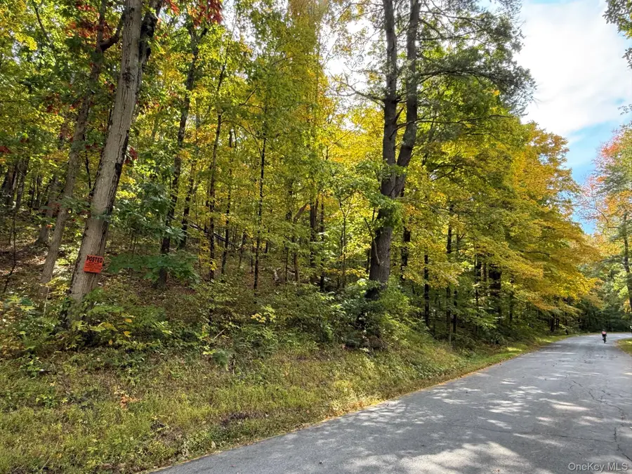 Fiddlers Bridge Road, Staatsburg, NY 12580 - #3