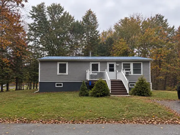 1 Morris Road, Mountain Dale, NY 12763