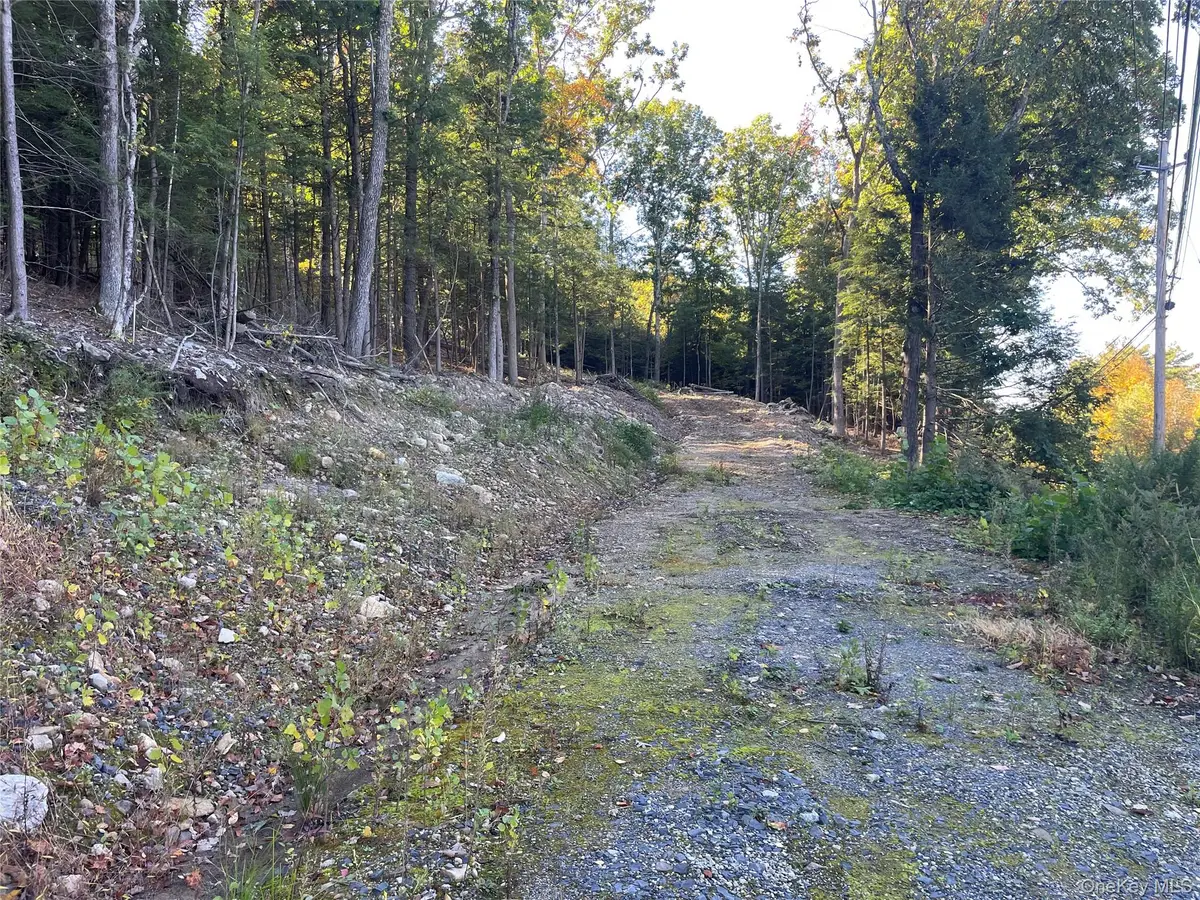 Mamakating Road, Wurtsboro, NY 12790 - #1
