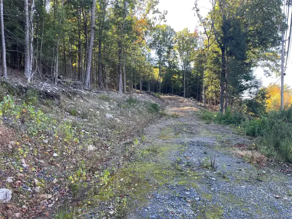 Mamakating Road, Wurtsboro, NY 12790