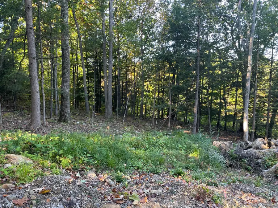 Mamakating Road, Wurtsboro, NY 12790 - #2