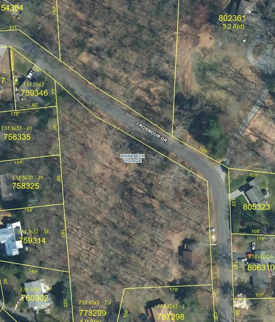 161 E Market Street, Rhinebeck, NY 12572 - #2