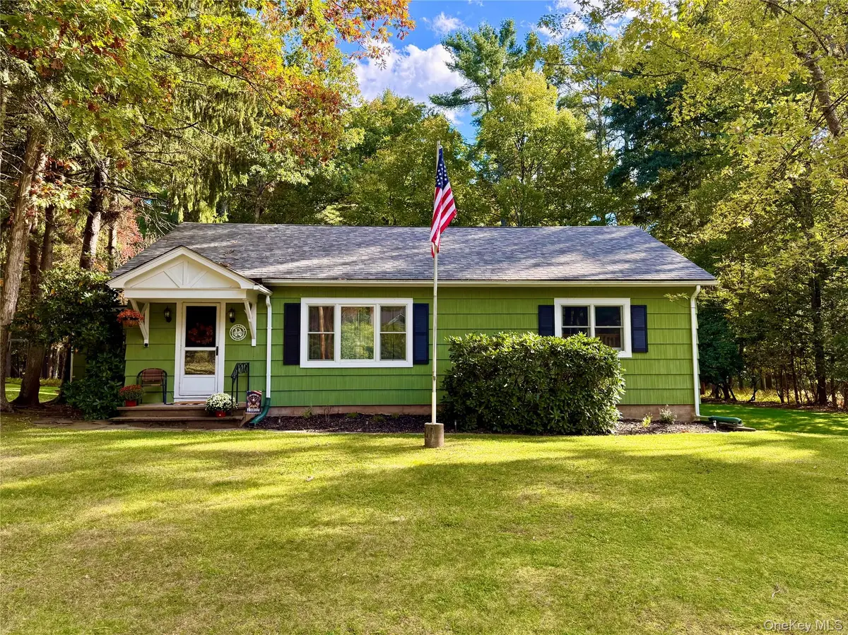 181 Eldred Yulan Road, Eldred, NY 12732 - #1