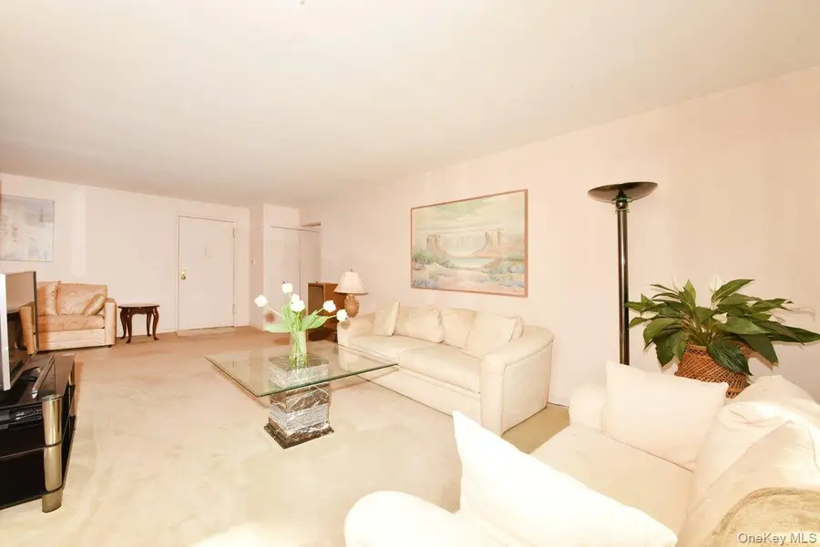 6 Birchwood Court #3F, Mineola, NY 11501 - #3