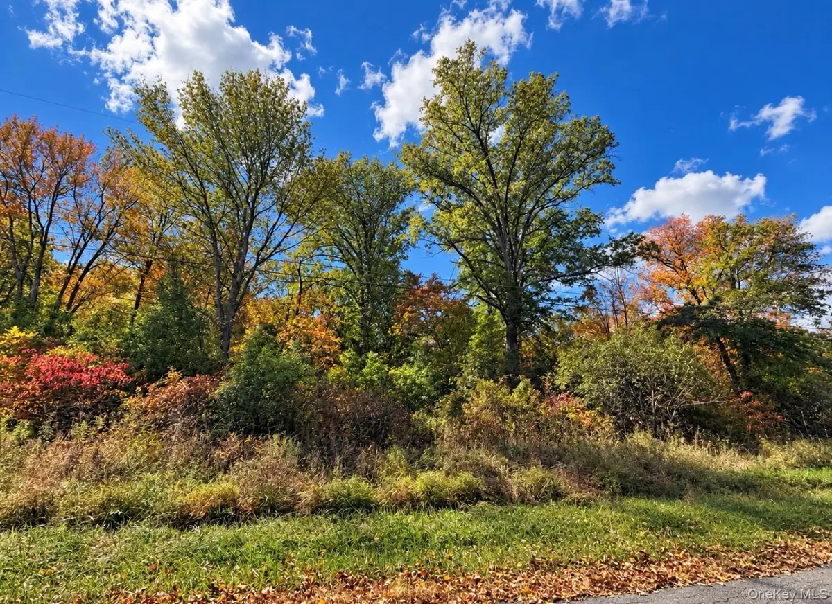 Rutsonville Road, Wallkill, NY 12589 - #1