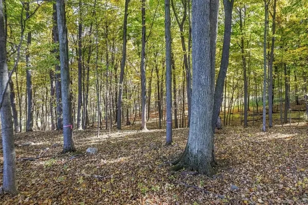 Dorian Way, Campbell Hall, NY 10916