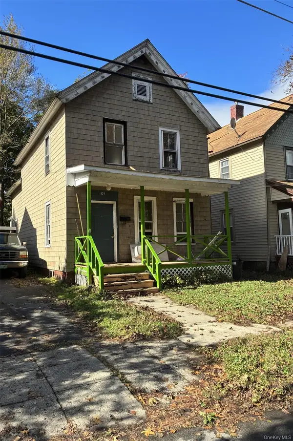 103 Ball Street, Port Jervis, NY 12771