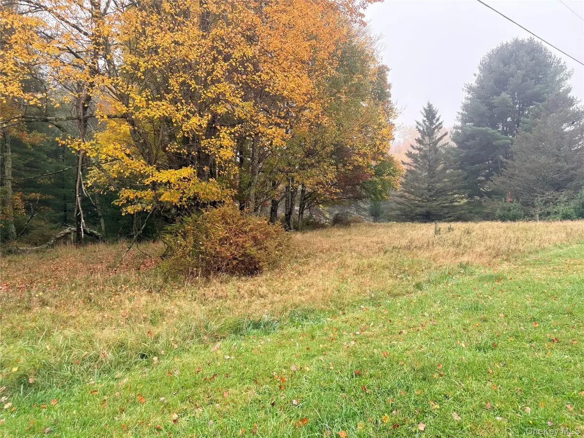 Horseshoe Lake Road, Bethel, NY 12720 - #1