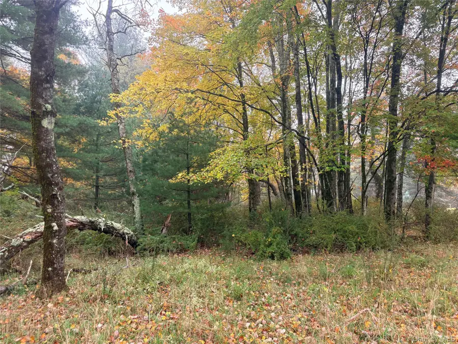 Horseshoe Lake Road, Bethel, NY 12720 - #2