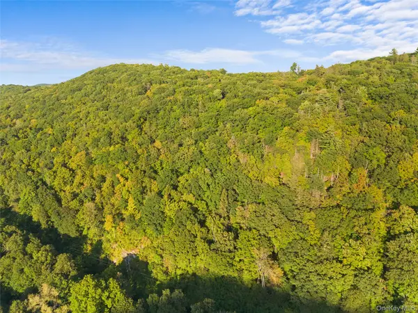 North, Wassaic, NY 12592