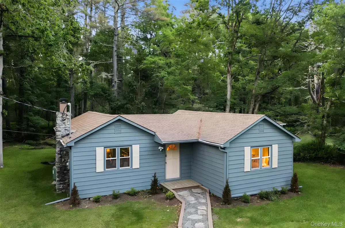 42 Eldred Yulan Road, Eldred, NY 12732 - #1