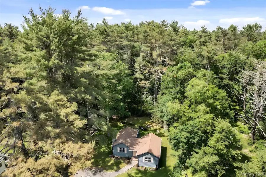 42 Eldred Yulan Road, Eldred, NY 12732 - #3