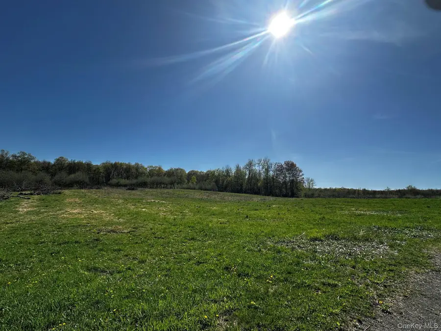 Route 32 S, Modena, NY 12548 - #3