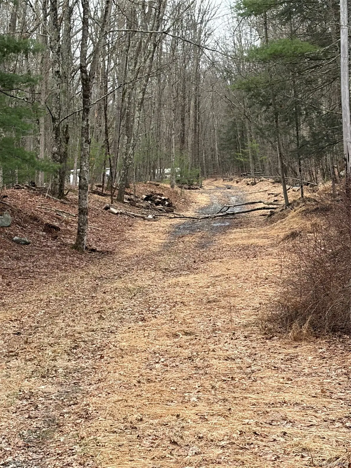 Red Hill Road, Wurtsboro, NY 12790 - #1