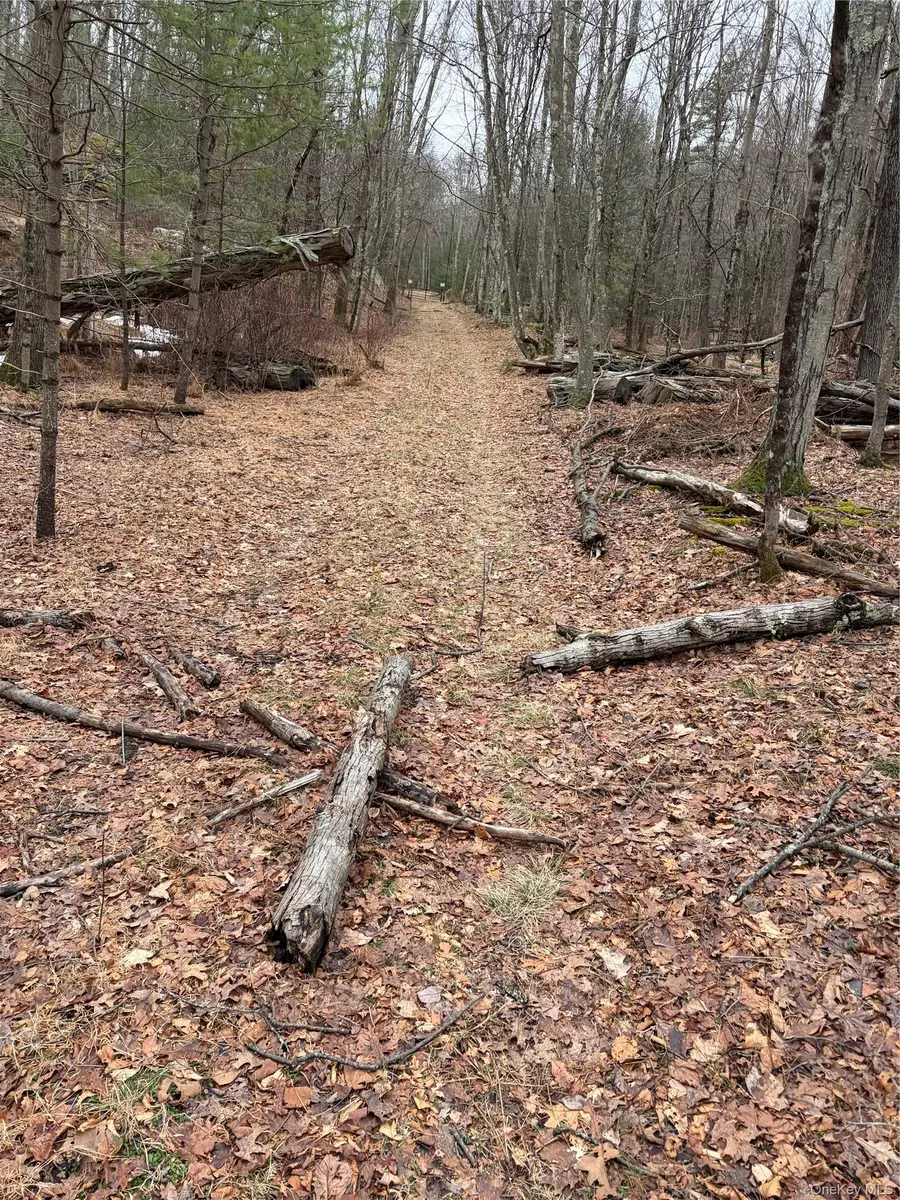 Red Hill Road, Wurtsboro, NY 12790 - #3