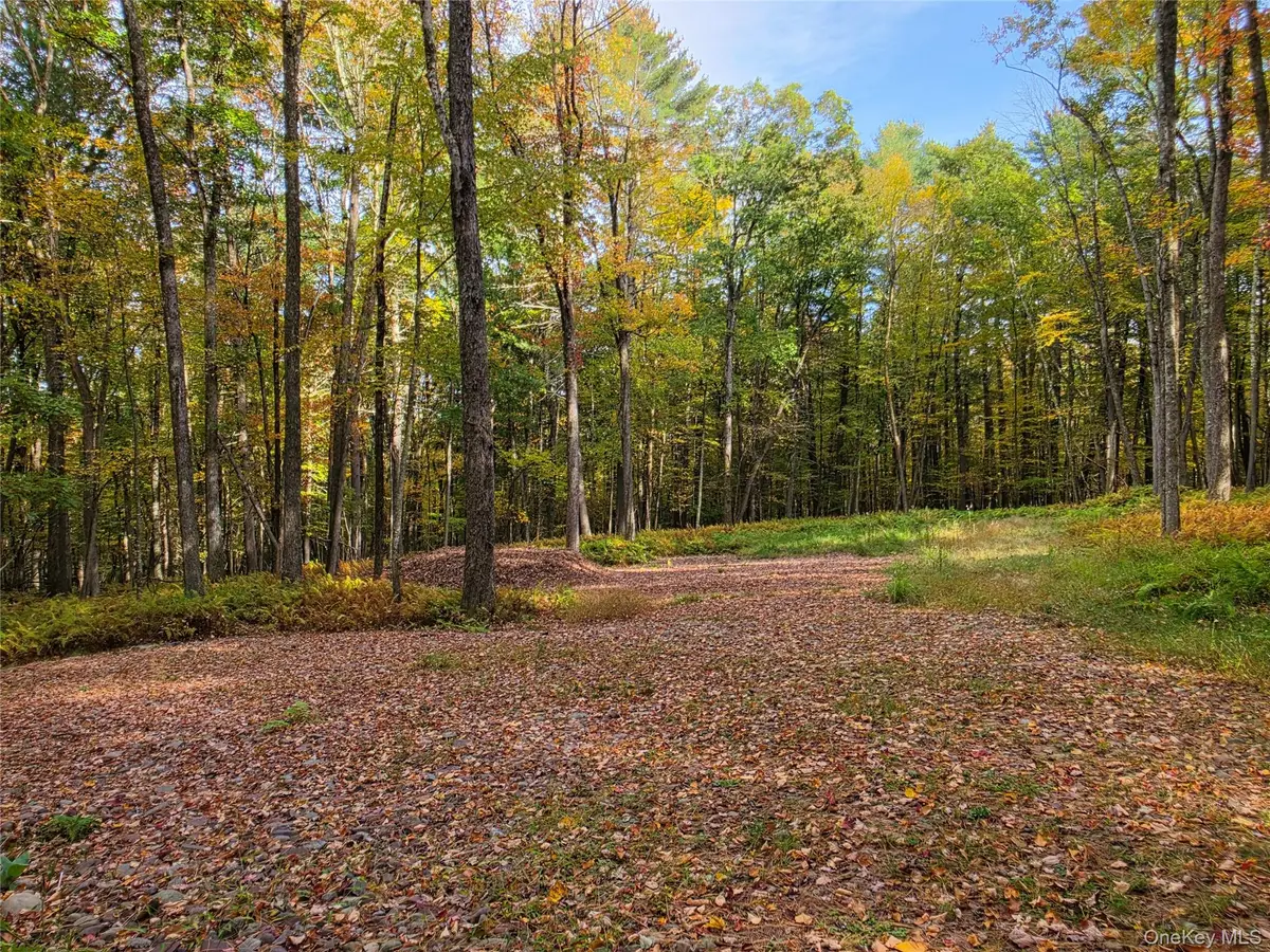 TBD Evergreen Lane, Narrowsburg, NY 12764 - #1
