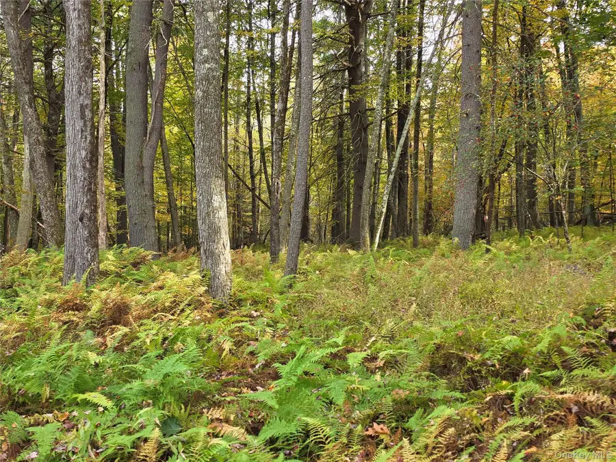 TBD Evergreen Lane, Narrowsburg, NY 12764 - #3