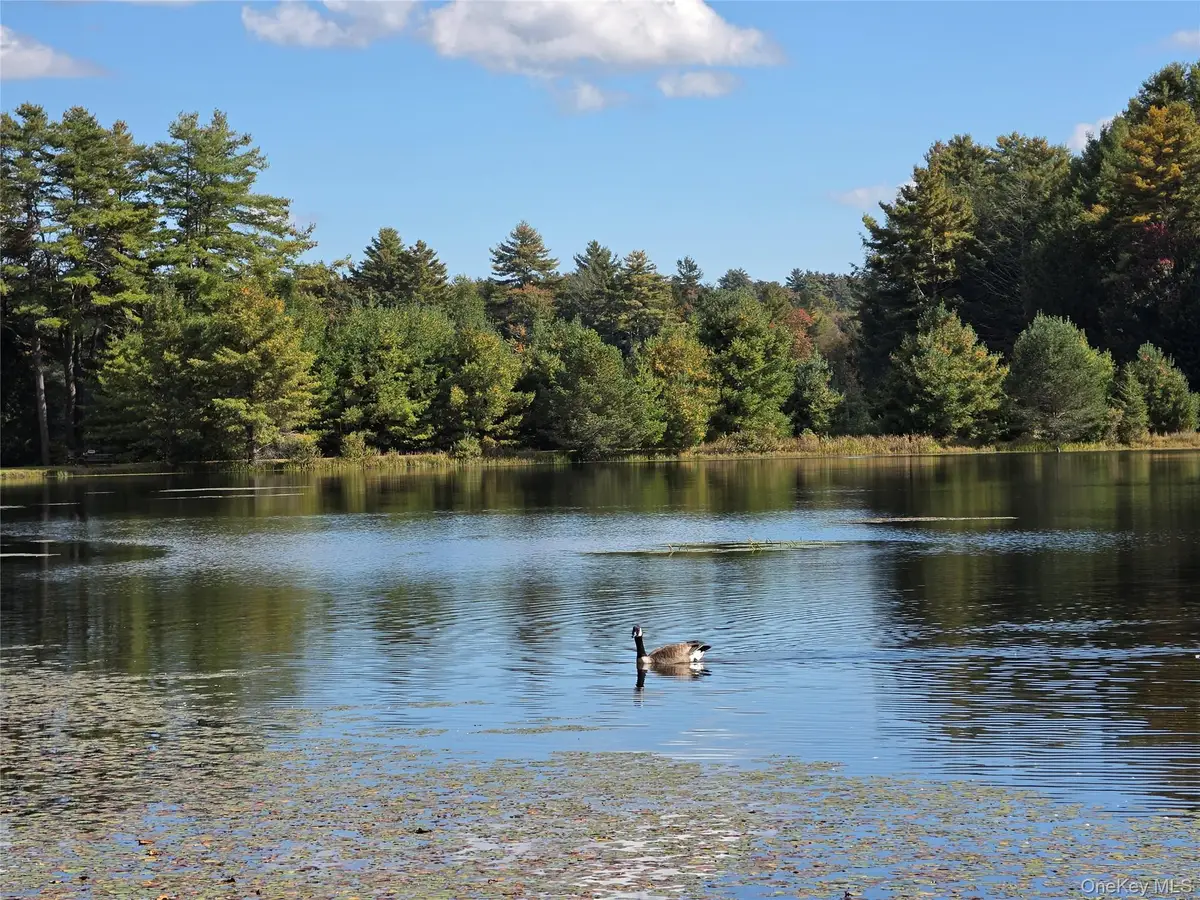 Lot 11 Deer Meadow Road, White Lake, NY 12786 - #1