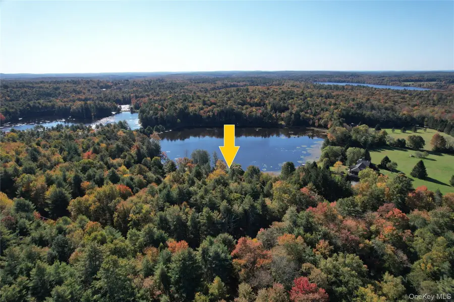 Lot 11 Deer Meadow Road, White Lake, NY 12786 - #2