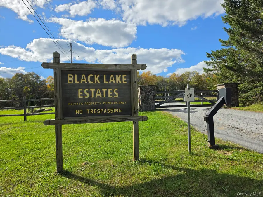 Lot 11 Deer Meadow Road, White Lake, NY 12786 - #3