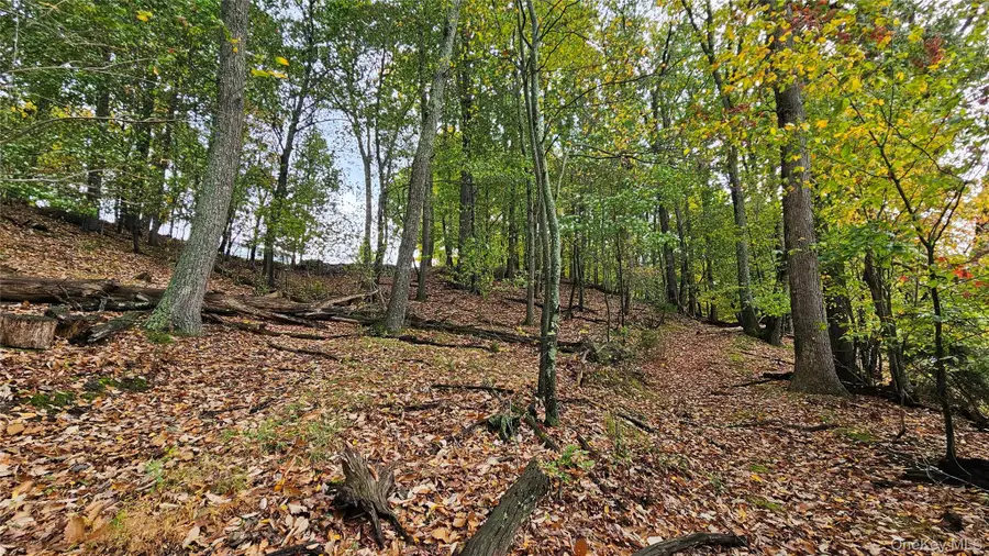 X Spruce Road, Middletown, NY 10940 - #3