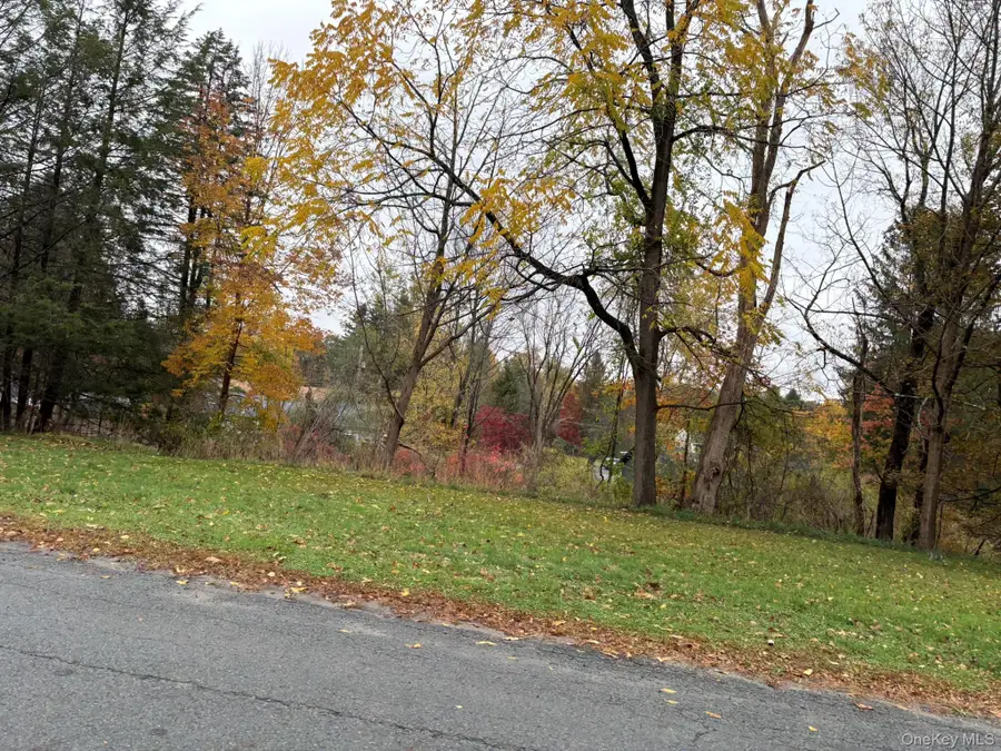 Fairway Avenue, Liberty, NY 12754 - #2