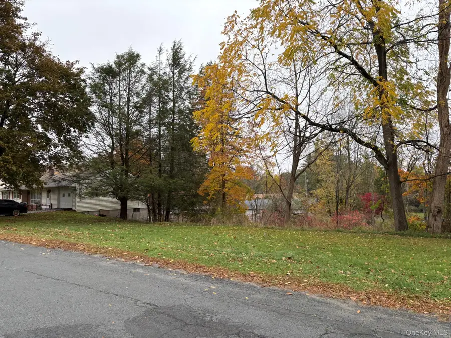 Fairway Avenue, Liberty, NY 12754 - #3