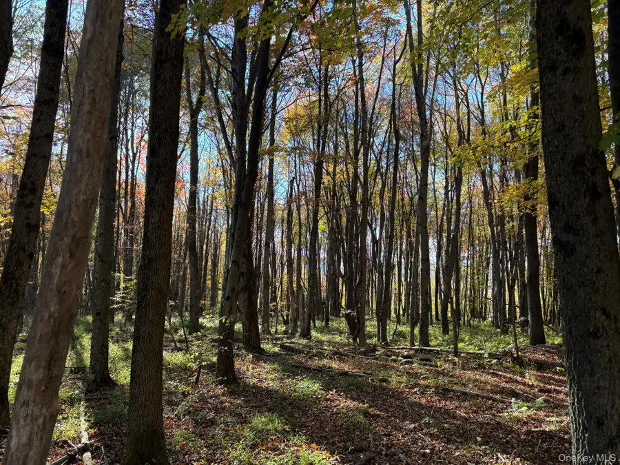 Row Off Chaffee Road, Liberty, NY 12754 - #3