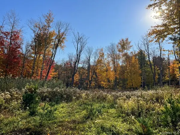 Painter Hill Road, Wurtsboro, NY 12790