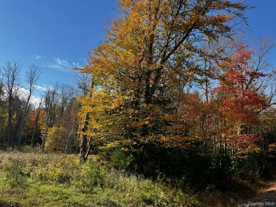 Painter Hill Road, Wurtsboro, NY 12790 - #2