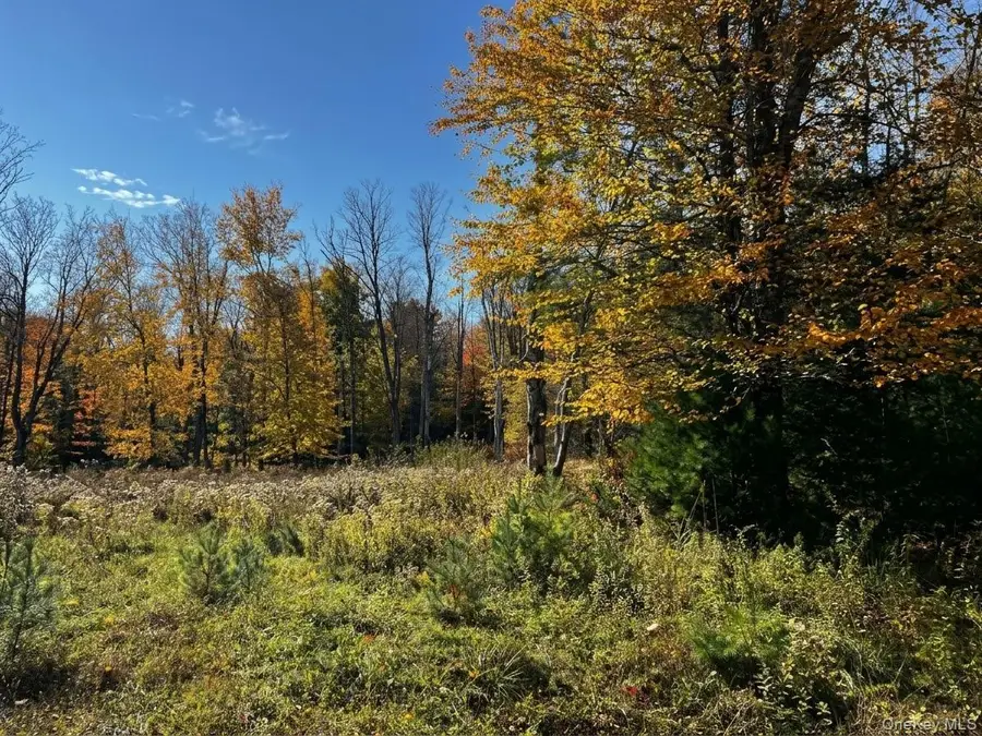 Painter Hill Road, Wurtsboro, NY 12790 - #3