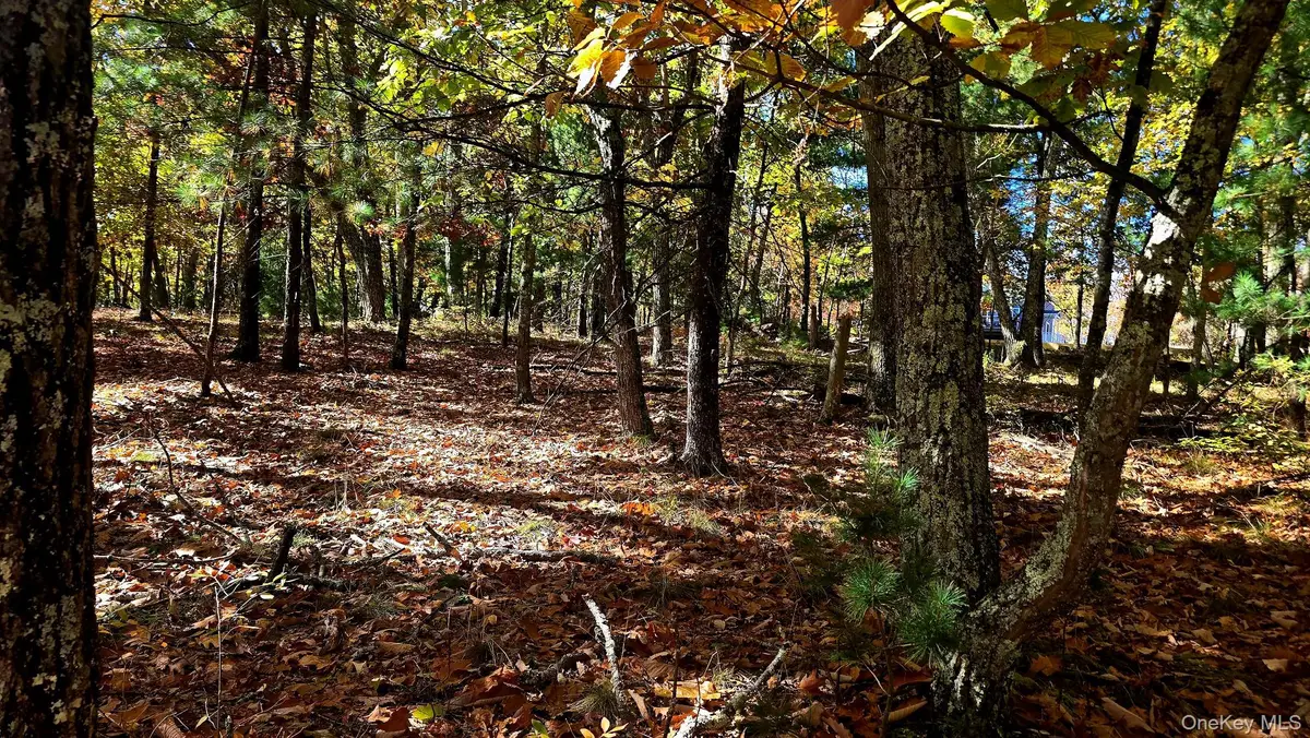 Chestnut Street W, Wurtsboro, NY 12790 - #1