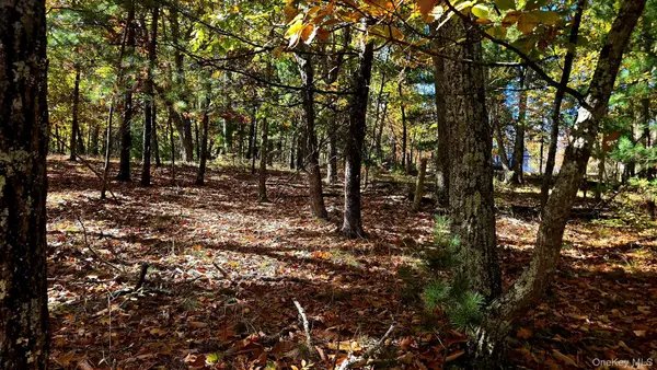 Chestnut Street W, Wurtsboro, NY 12790