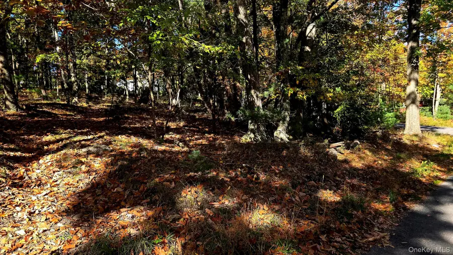 Chestnut Street W, Wurtsboro, NY 12790 - #3