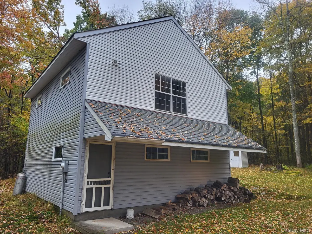 1756 Fuller Hill Road, Downsville, NY 13755 - #1