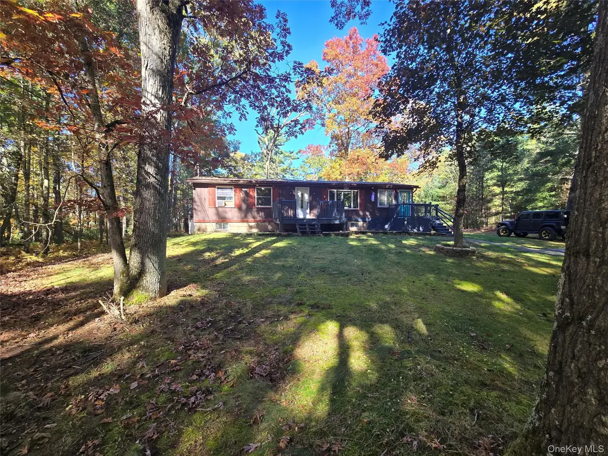 24 Frazier Road, Eldred, NY 12732 - #1