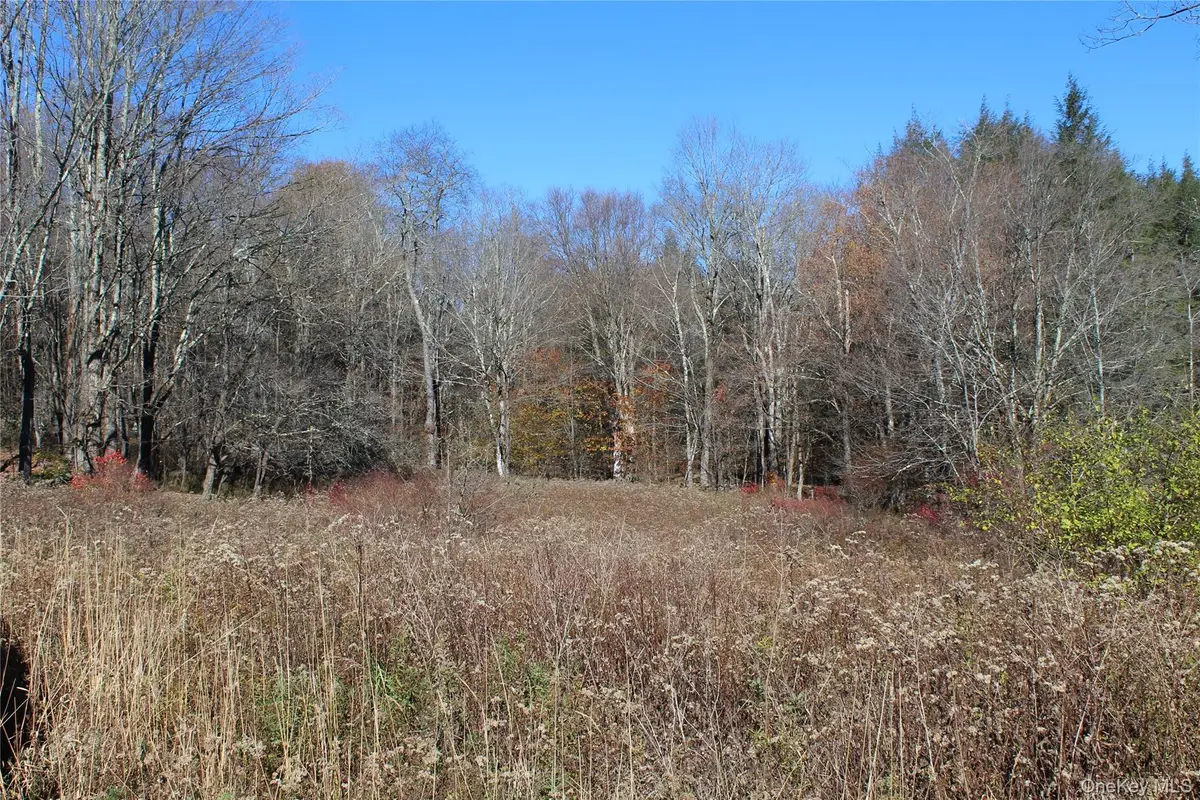 336 Dutch Hill Road, Callicoon, NY 12776 - #1