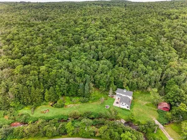 609 Grooville Road, Livingston Manor, NY 12758