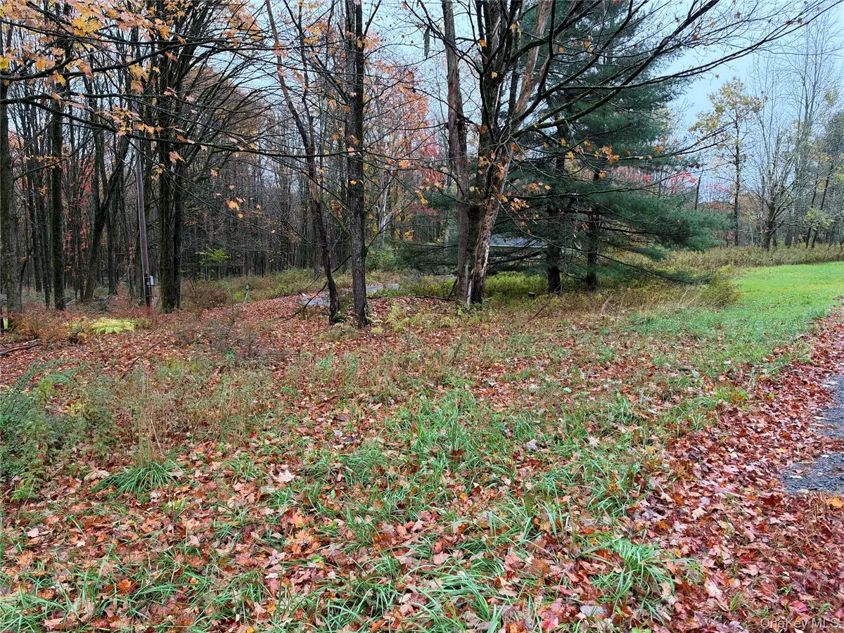 243 Lt. J.g. Brender Hwy, Ferndale, NY 12734 - #1