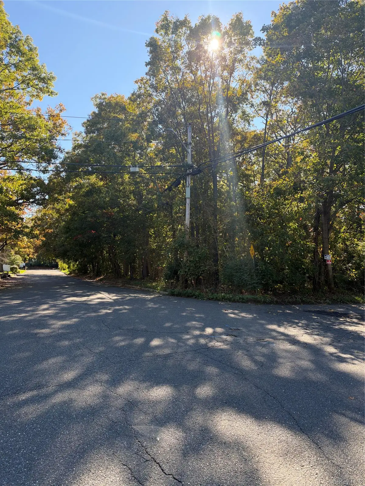 Morris Avenue, Huntington, NY 11743 - #1